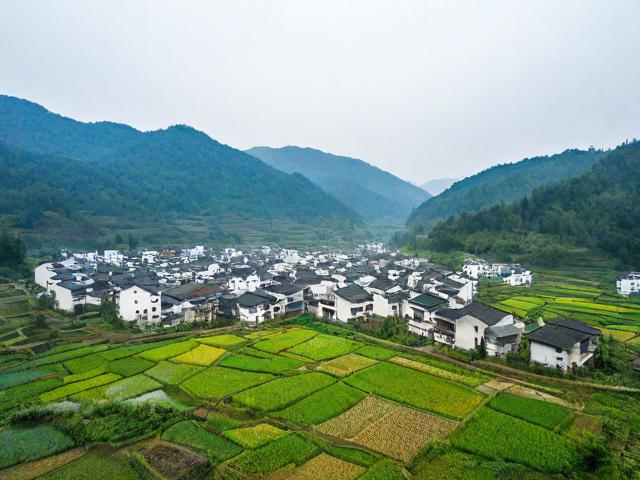 溪头村旅游攻略