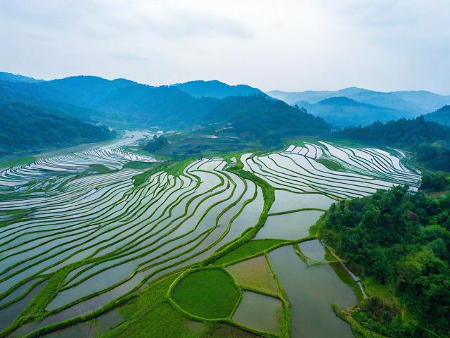 青田有哪些必去的旅游景点？