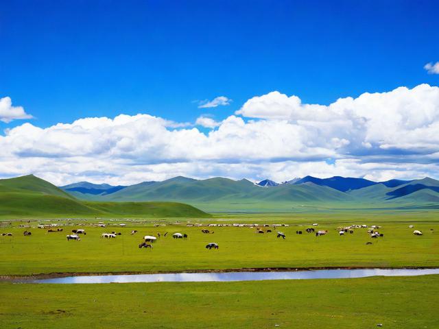 塔公草原旅游攻略