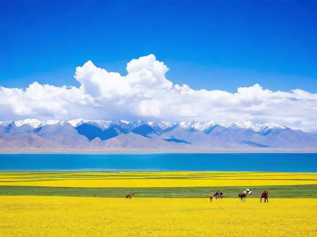 青海最酷的旅游景点是哪里