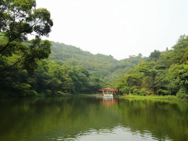 黄贤森林公园游玩攻略