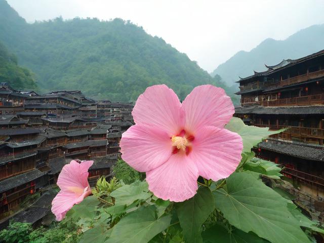 湘西芙蓉镇攻略