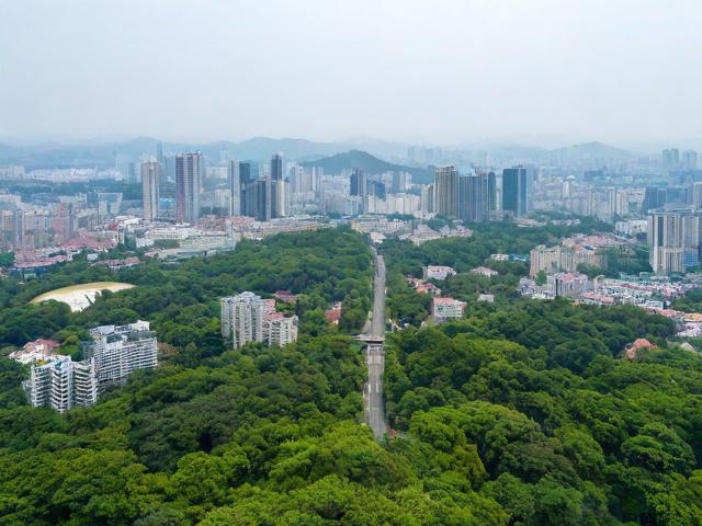象山二日游攻略,如何规划行程以充分体验当地风光与文化?