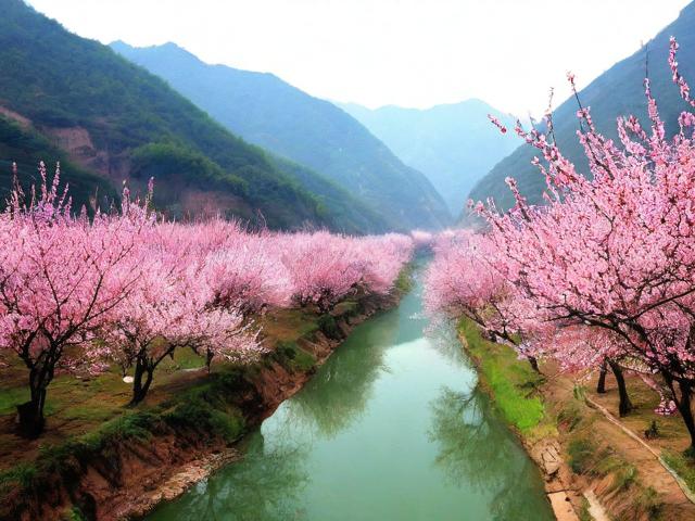 天水桃花沟旅游攻略,有哪些必去景点和美食推荐?
