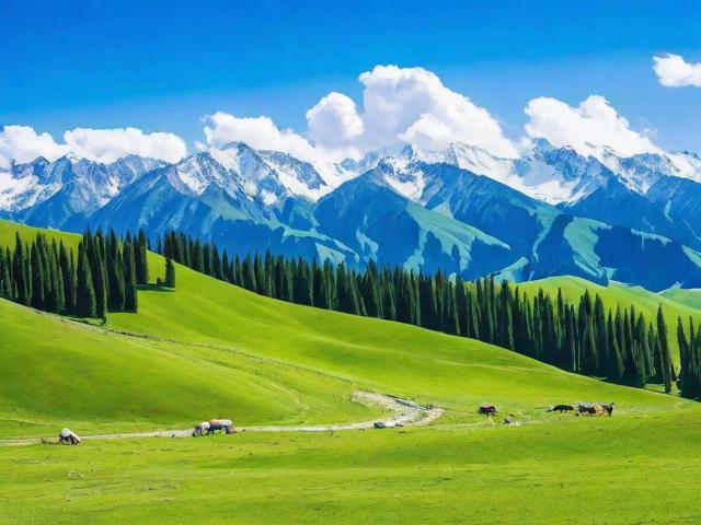 五月新疆旅游攻略,有哪些不可错过的景点和体验?