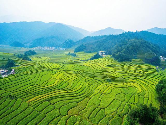 绿春旅游景点有哪些必去推荐?