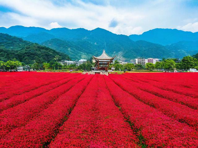 百草丹旅游景点在哪里啊
