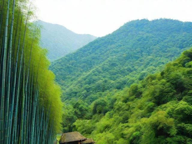 竹海旅游攻略