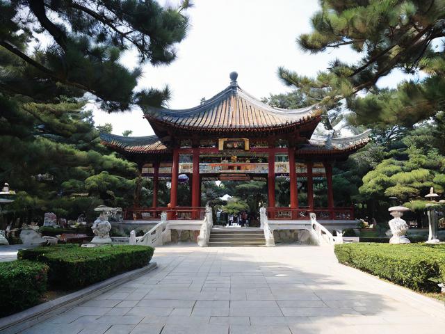 青岛中山公园游玩全攻略,你知道怎么玩才尽兴吗?