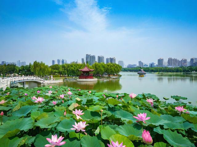 长春莲花岛旅游攻略,有哪些不可错过的景点和活动?
