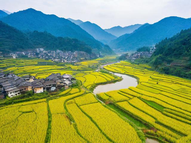 新平县稻花鱼旅游景点在哪里