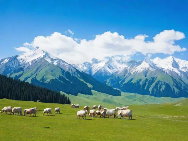 一个人适合去哪里旅游新疆(一个人适合去哪里旅游新疆呢)