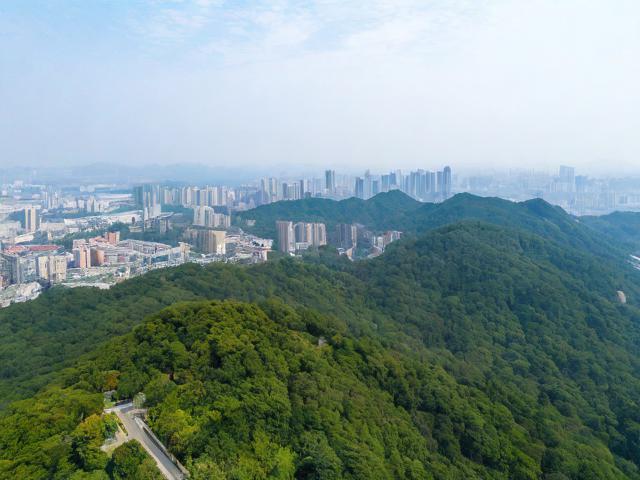钟山景区攻略,如何玩转这一美丽之地?