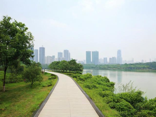 东湖绿道游玩攻略,探寻最佳路线与必体验亮点?