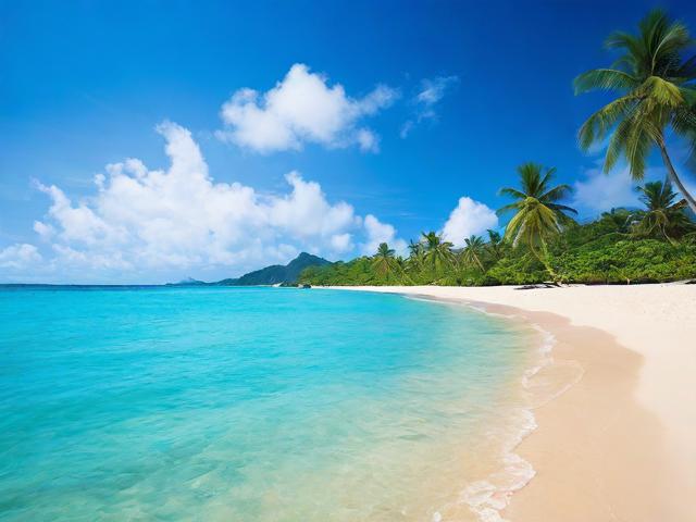 三亚旅游网官网,三亚旅游网官网,探索热带天堂的最佳在线指南?