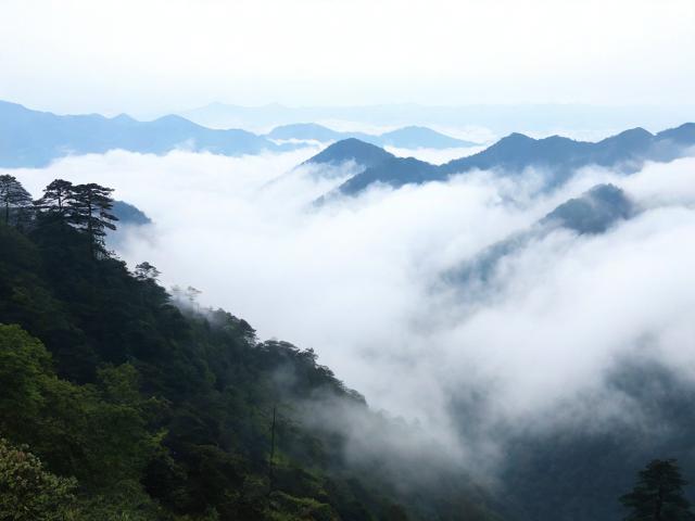 光雾山游玩有哪些必知攻略?