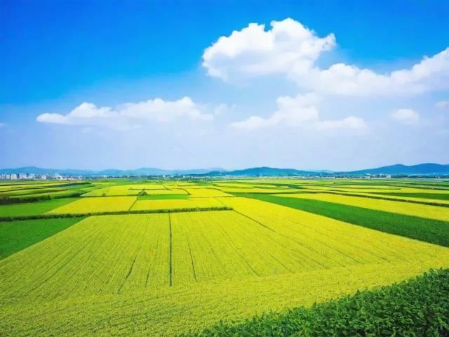 垦南旅游景点在哪里