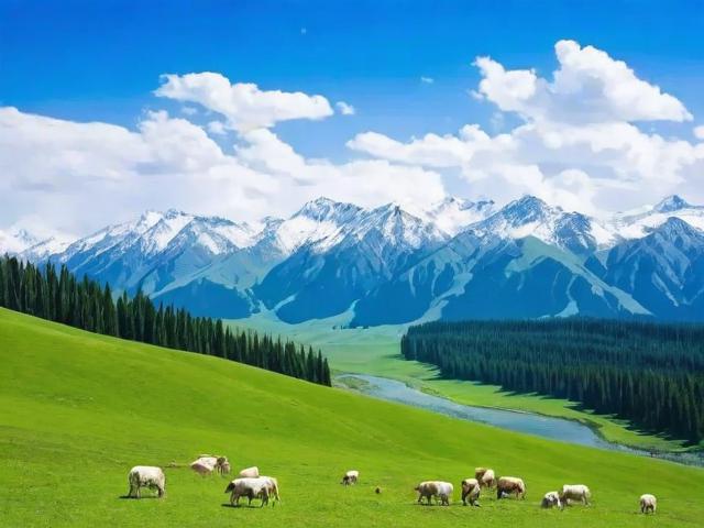 伊犁5月旅游攻略,有哪些必去景点和特色活动?