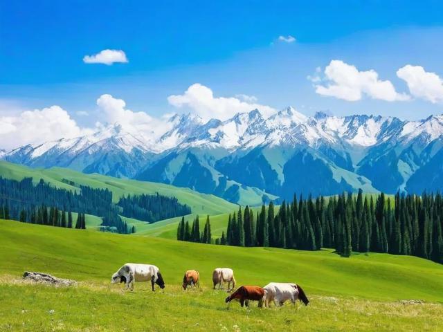 伊犁5月旅游攻略,有哪些必去景点和特色活动?