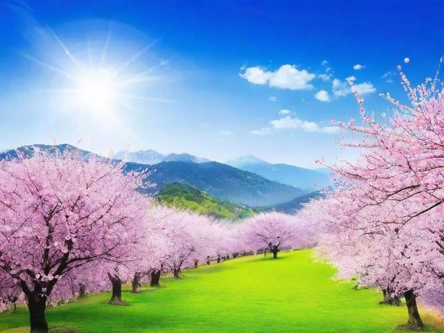 明春免费旅游景点在哪里