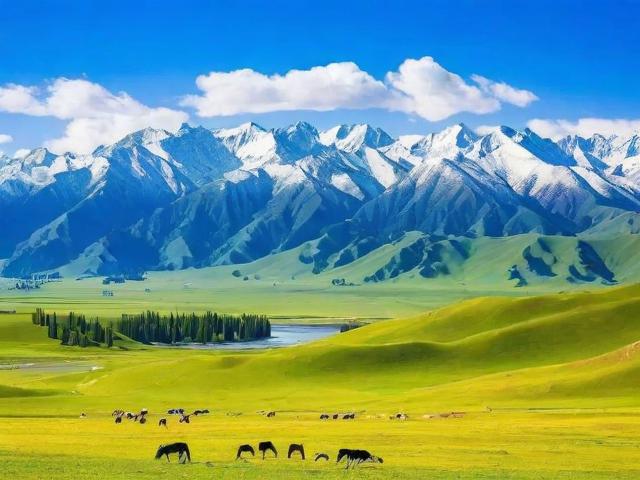 8月去新疆旅游,有哪些不可错过的景点和体验?