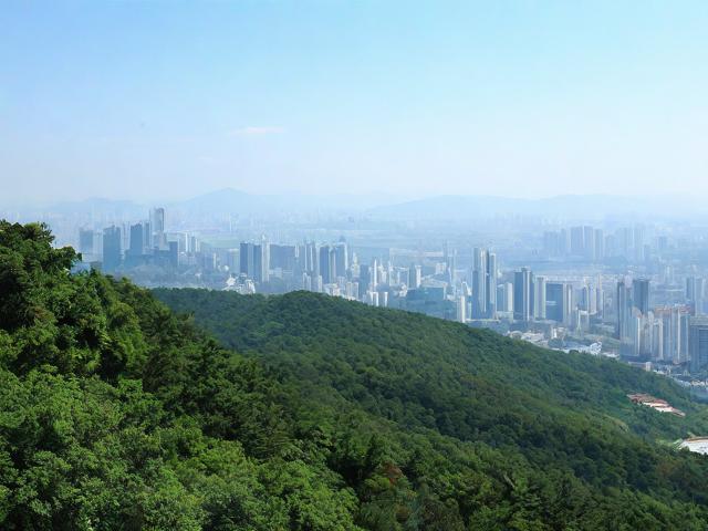 九龙山游玩攻略,有哪些必去景点和特色体验?,或者,九龙山攻略,怎样规划能尽享其独特魅力?