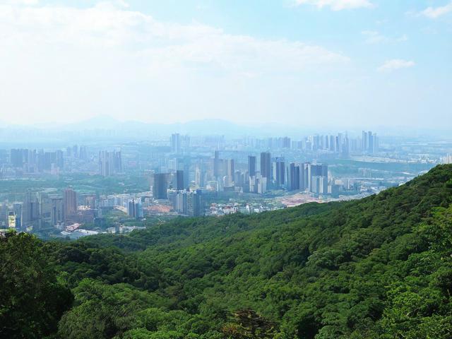 九龙山游玩攻略,有哪些必去景点和特色体验?,或者,九龙山攻略,怎样规划能尽享其独特魅力?