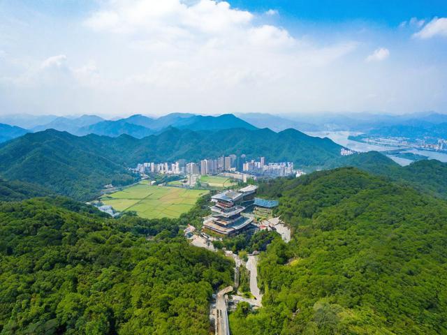 旺山景区旅游攻略有哪些实用信息?