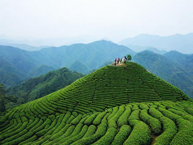 勉县茶王山的旅游景点在哪里