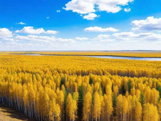 内蒙古白桦林旅游景点地址在哪里