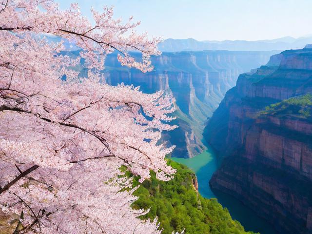 太行山看樱花旅游景点在哪里