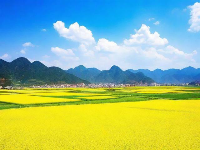 距离内黄近的旅游景点在哪里