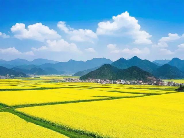距离内黄近的旅游景点在哪里