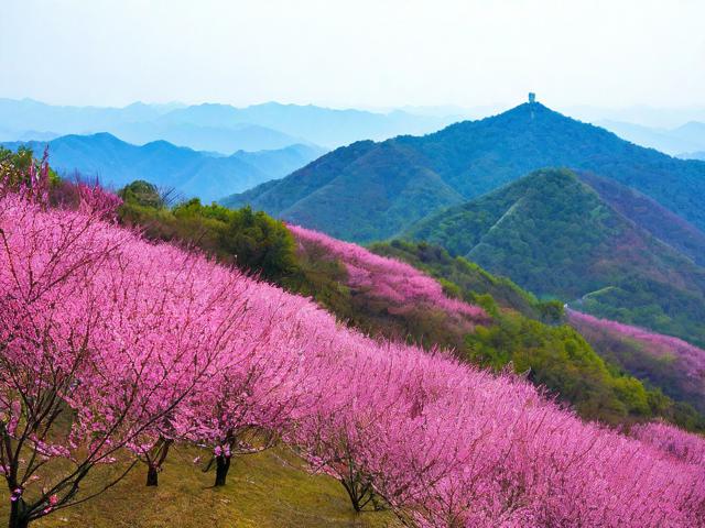 梅岭游玩攻略