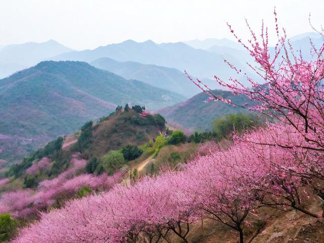 梅岭游玩攻略