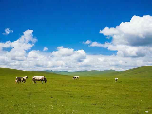 华阳草甸的旅游景点在哪里