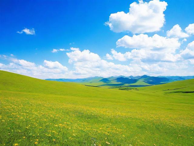 华阳草甸的旅游景点在哪里