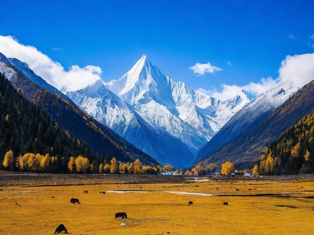 好奇探索型, 木里旅游,有哪些独特玩法?, 木里旅游,必去景点是哪些?,实用信息型, 木里旅游,交通住宿咋安排?, 木里旅游,美食推荐有啥?,体验感受型, 木里旅游,体验感究竟如何?, 木里旅游,趣味之处在哪里?