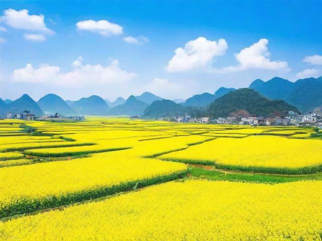 阳春旅游景点哪里最好玩?最新排名揭晓!