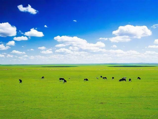 中国有哪些必去的草原旅游景点推荐?