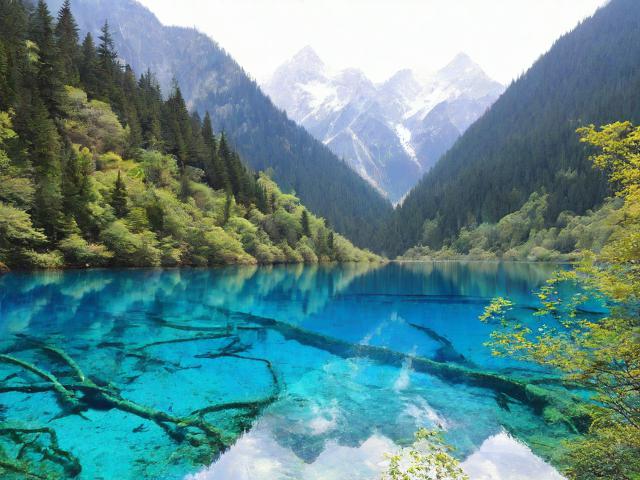 九寨沟自由行怎么玩?超全攻略与省钱 tips 一次看!