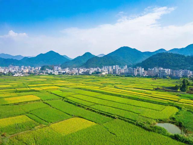大田有哪些值得探索的旅游景点?