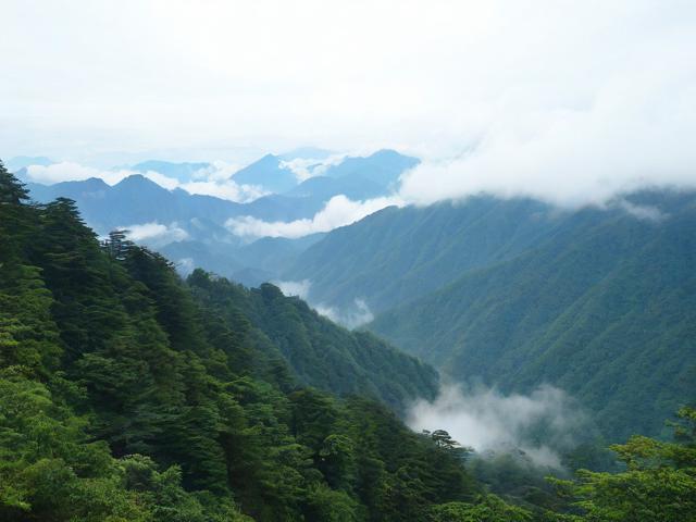 瓦屋山一日游攻略,如何安排行程最合理?