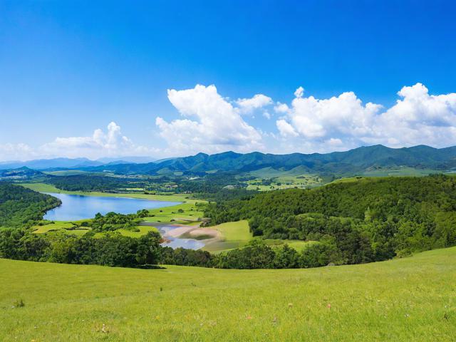 哪里有新旅游景点