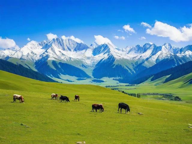 阿尔泰山的旅游景点在哪里啊