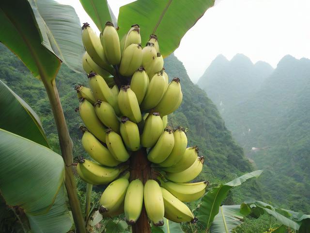 恩施芭蕉有哪些值得一去的旅游景点？