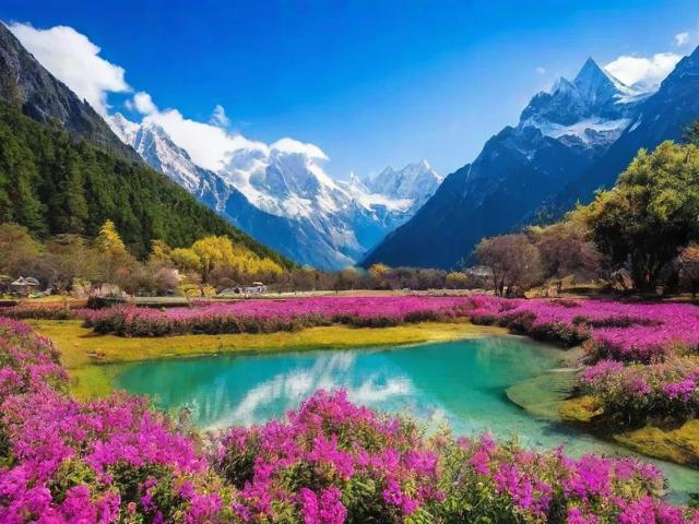 四川花几百的旅游景点是哪里
