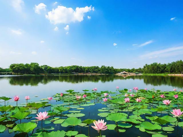 旅游景点莲花湖在哪里