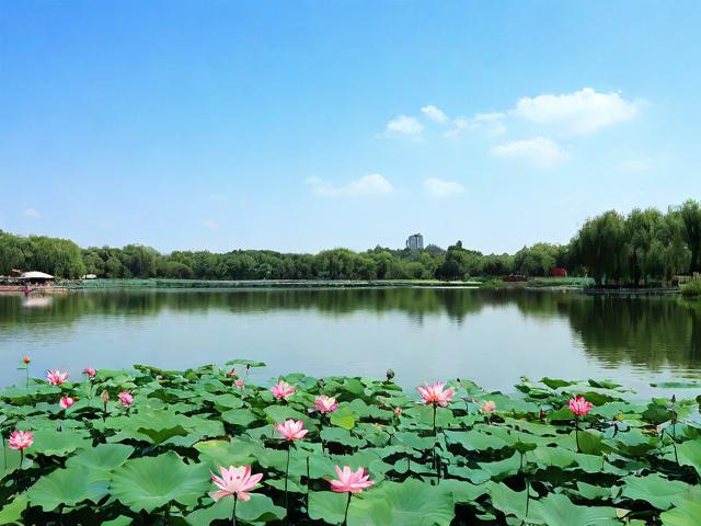 旅游景点莲花湖在哪里