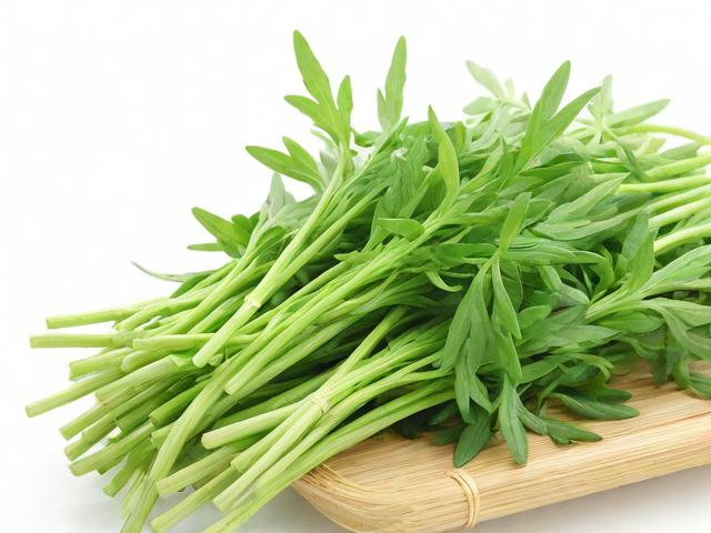 卡盟QQ业务网香草是什么?
